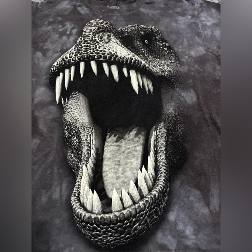 Disney Springs T-REX Kids Small Dinosaur Shirt Black Top